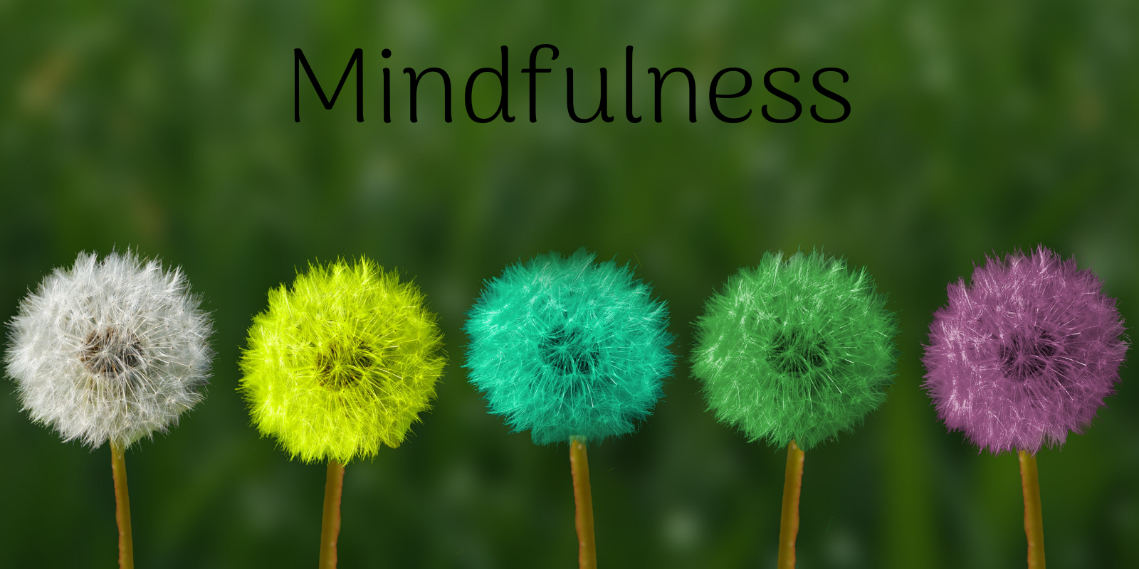 Five Fall Mindful Techniques